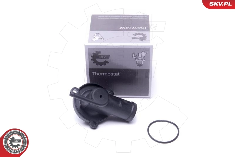 Thermostat, coolant
